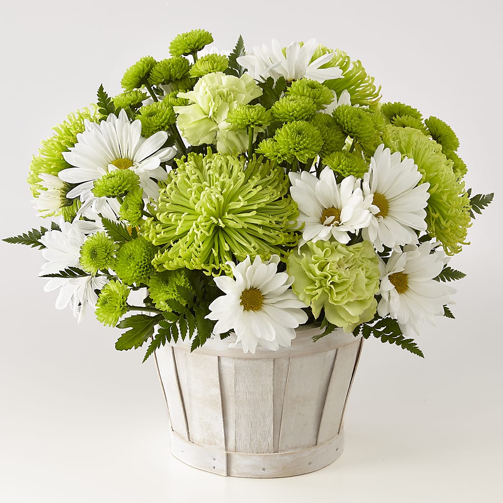 Lucky Charm Basket (Standard) – YOUNG'S GREENHOUSE & FLOWER SHOP, Fort Wayne IN