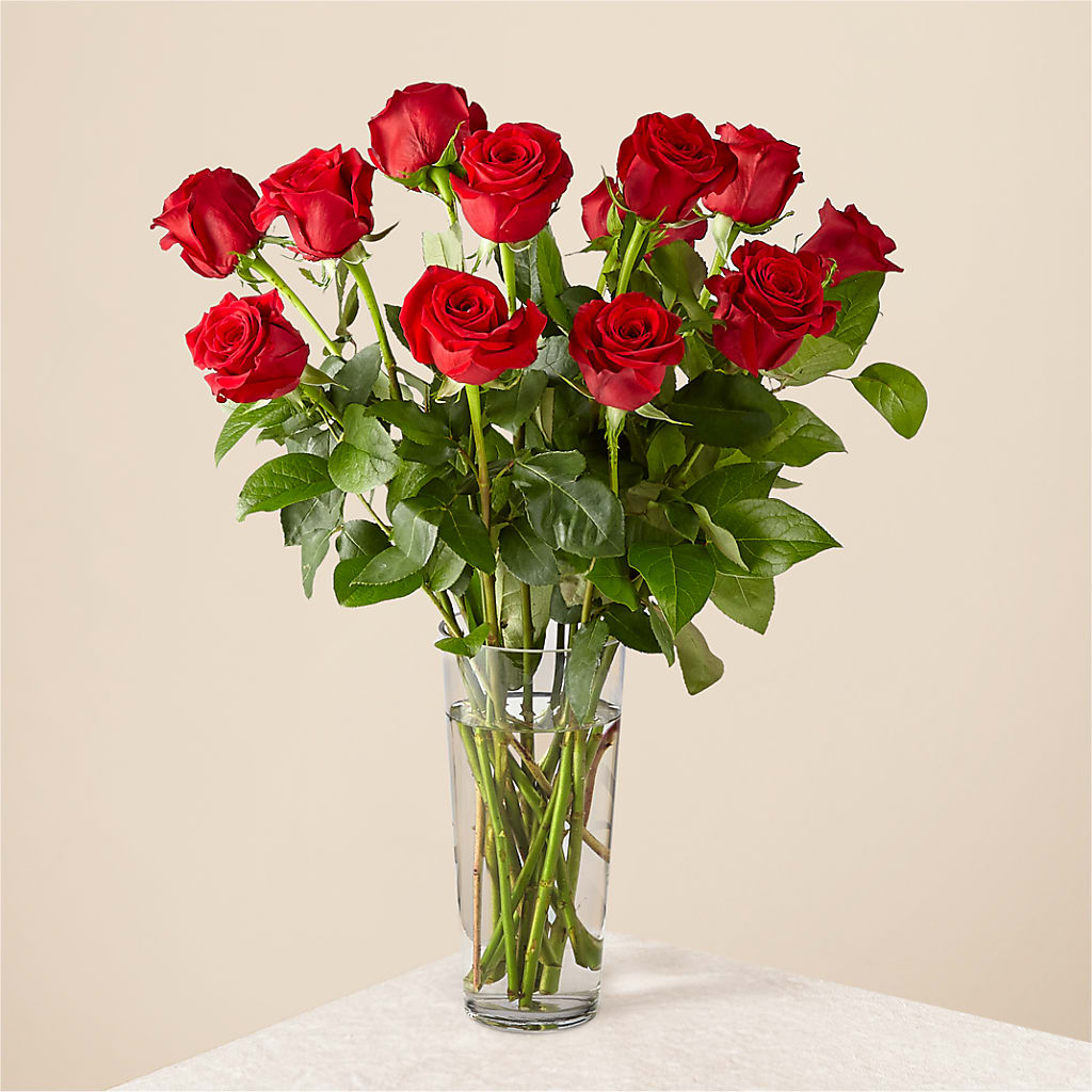 Long Stem Red Rose Bouquet – YOUNG'S GREENHOUSE & FLOWER SHOP, Fort Wayne IN