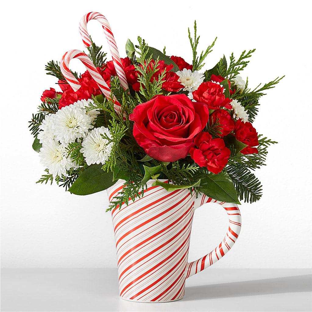 Peppermint Swirl Mug – YOUNG'S GREENHOUSE & FLOWER SHOP, Fort Wayne IN