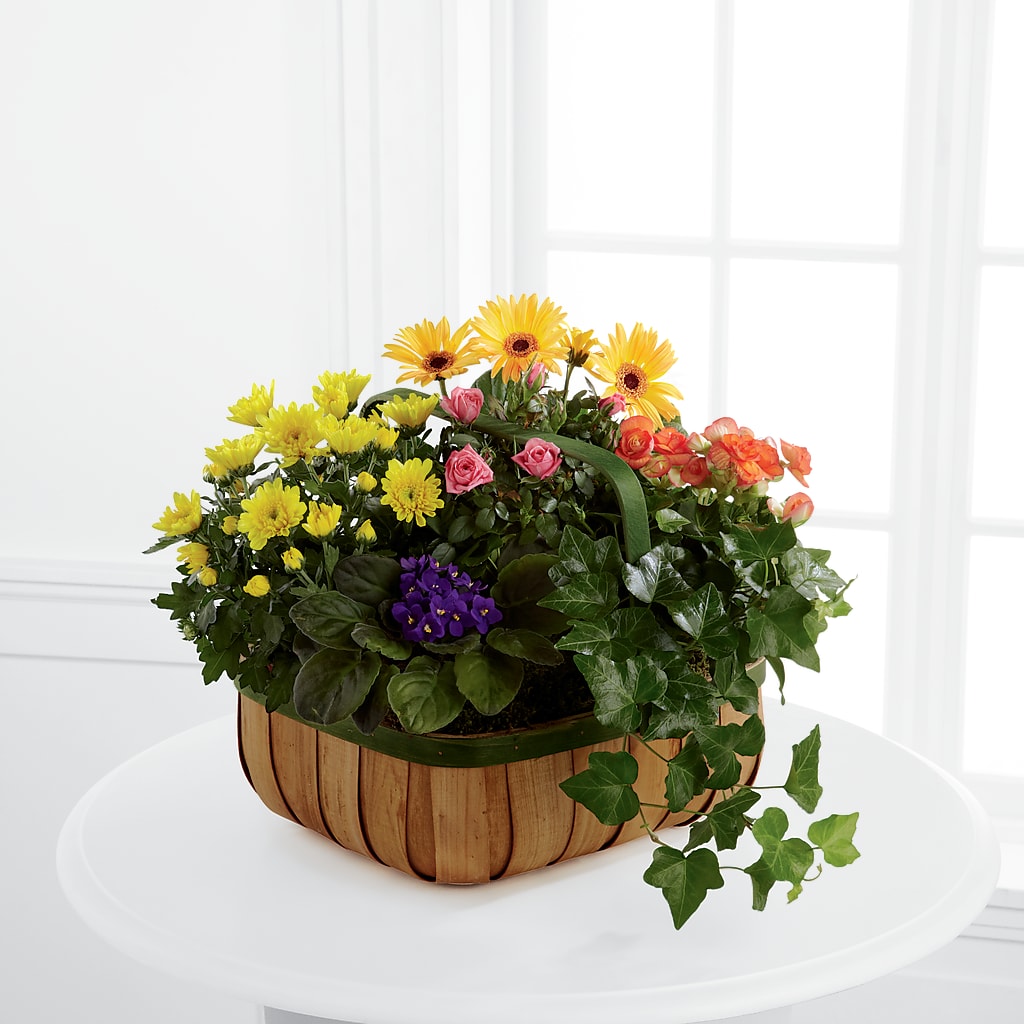 Gentle Blossoms Basket – YOUNG'S GREENHOUSE & FLOWER SHOP, Fort Wayne IN