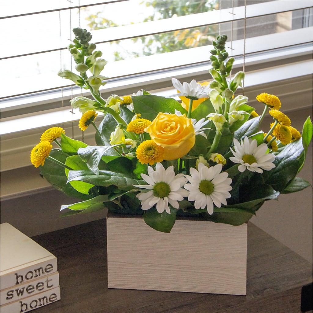 Sun Salutation Box Bouquet – YOUNG'S GREENHOUSE & FLOWER SHOP, Fort Wayne IN