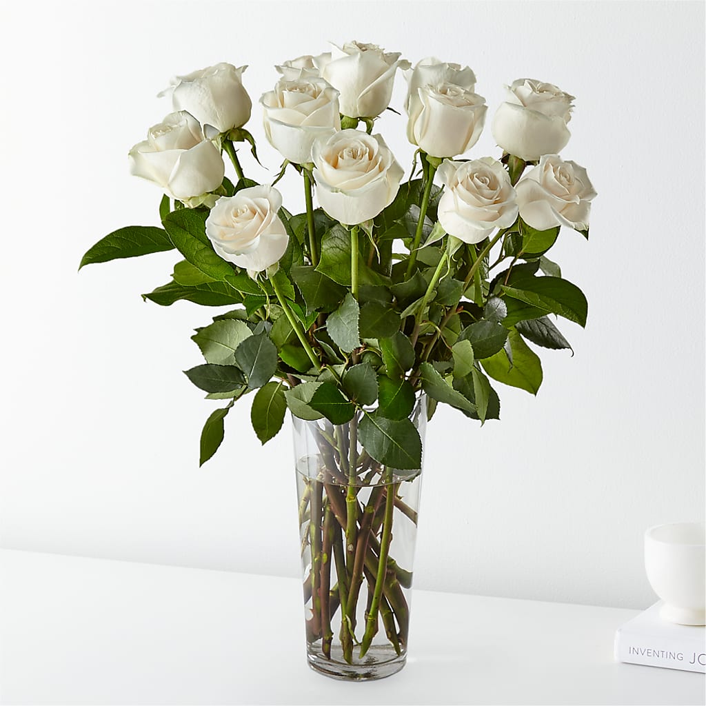 Long Stem White Rose Bouquet – YOUNG'S GREENHOUSE & FLOWER SHOP, Fort Wayne IN