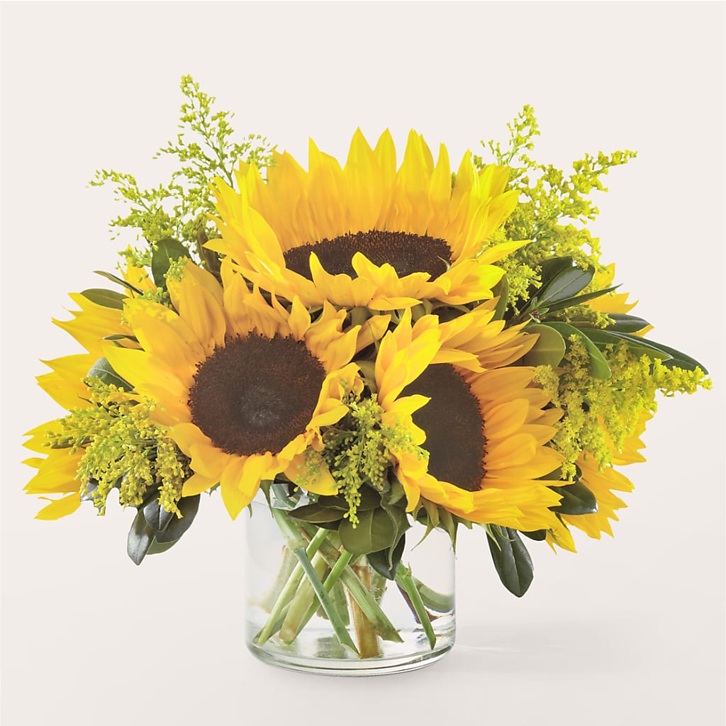 Beaming Sunflower Bouquet – YOUNG'S GREENHOUSE & FLOWER SHOP, Fort Wayne IN