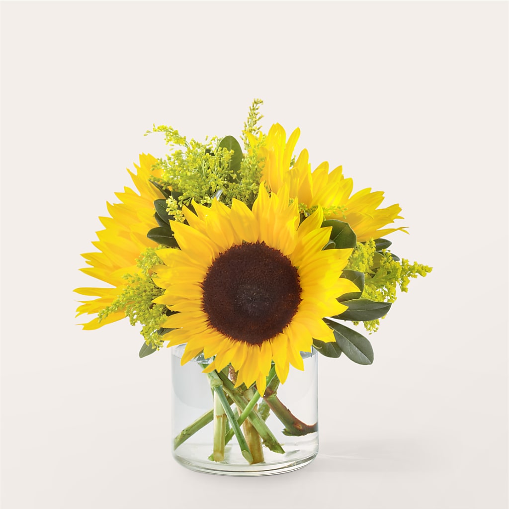 Beaming Sunflower Bouquet – YOUNG'S GREENHOUSE & FLOWER SHOP, Fort Wayne IN