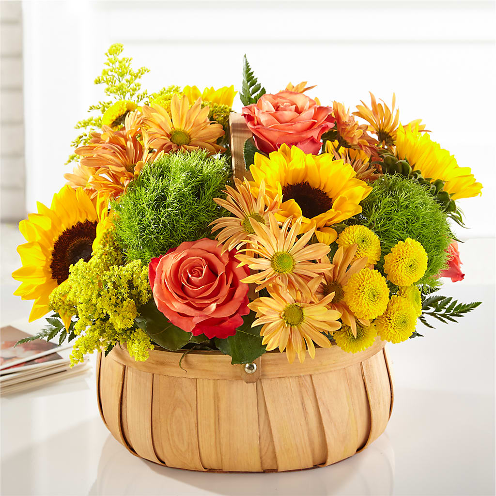 Harvest Sunflower Basket – YOUNG'S GREENHOUSE & FLOWER SHOP, Fort Wayne IN