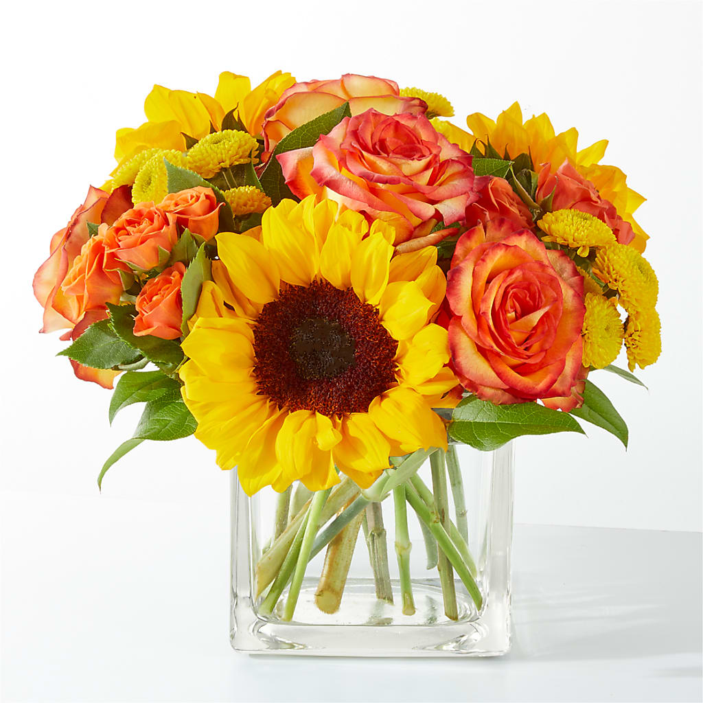 Picnic in the Park Bouquet – YOUNG'S GREENHOUSE & FLOWER SHOP, Fort Wayne IN