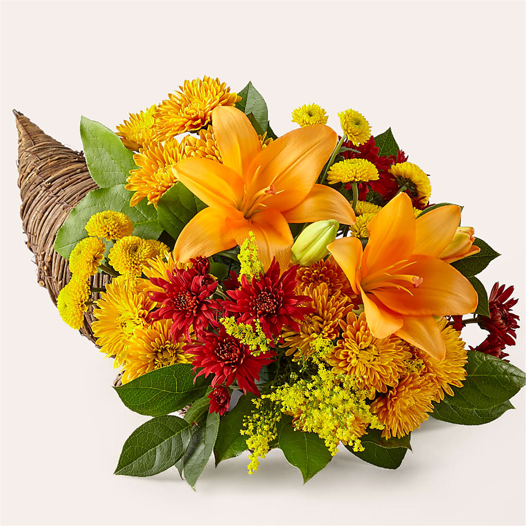 Feast of Color Cornucopia – YOUNG'S GREENHOUSE & FLOWER SHOP, Fort Wayne IN