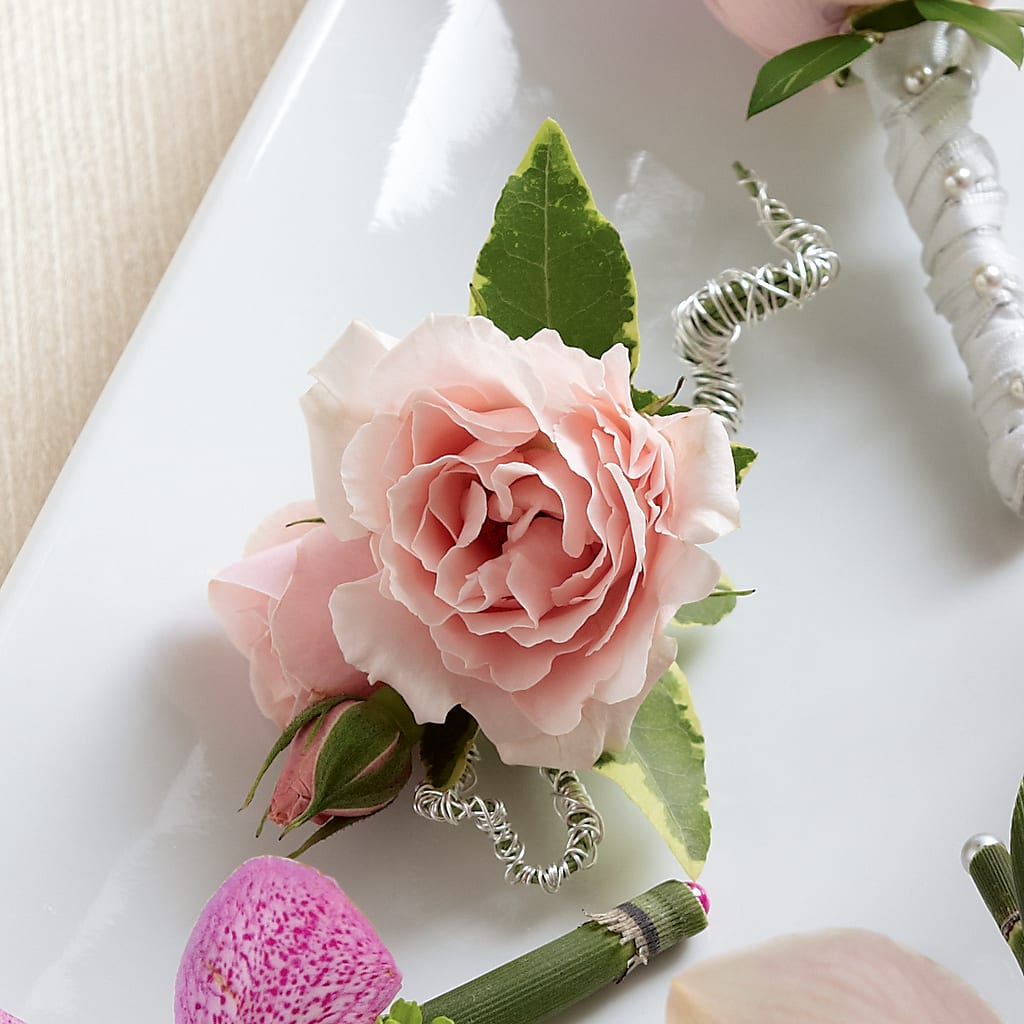 Pink Spray Rose Boutonniere – YOUNG'S GREENHOUSE & FLOWER SHOP, Fort Wayne IN