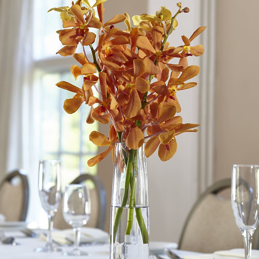 Orange Mokara Bud Vase – YOUNG'S GREENHOUSE & FLOWER SHOP, Fort Wayne IN