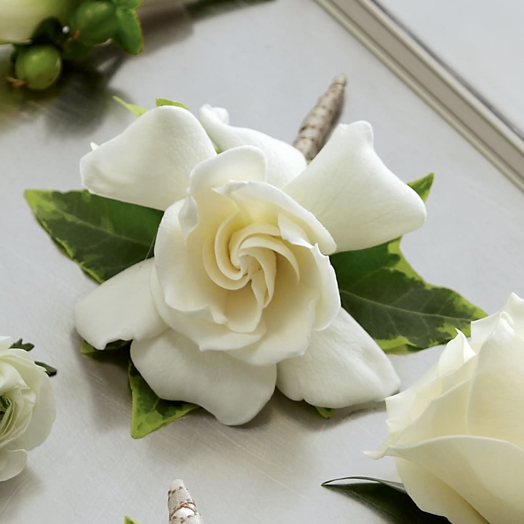 Gardenia Boutonniere – YOUNG'S GREENHOUSE & FLOWER SHOP, Fort Wayne IN