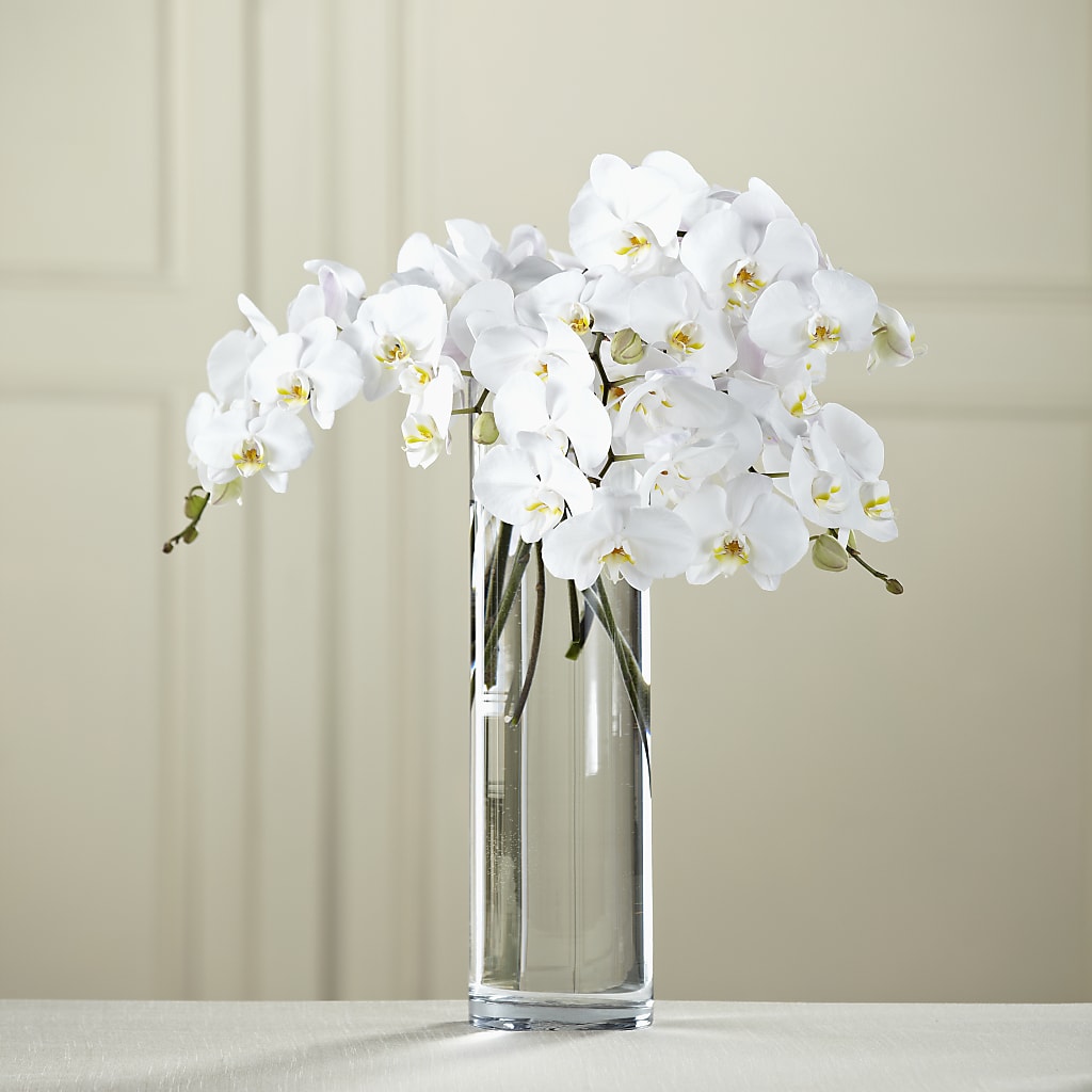 White Phalaenopsis Bouquet – YOUNG'S GREENHOUSE & FLOWER SHOP, Fort Wayne IN