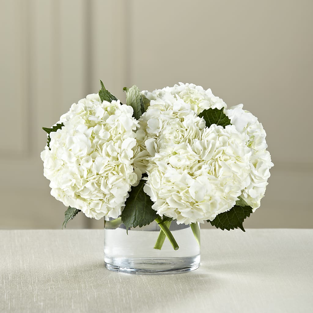 White Hydrangea Bouquet – YOUNG'S GREENHOUSE & FLOWER SHOP, Fort Wayne IN