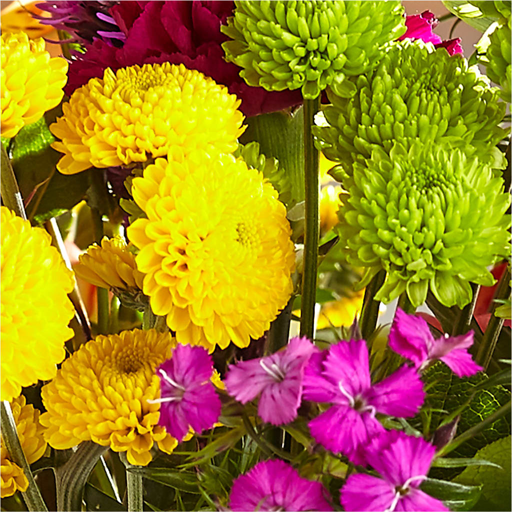 Bold & Bright – A Florist Original – YOUNG'S GREENHOUSE & FLOWER SHOP, Fort Wayne IN