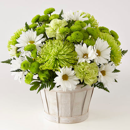 Lucky Charm Basket (Standard) – YOUNG'S GREENHOUSE & FLOWER SHOP, Fort Wayne IN