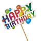 Happy Birthday Pick – YOUNG'S GREENHOUSE & FLOWER SHOP, Fort Wayne IN
