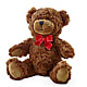 Adorable Plush Bear – YOUNG'S GREENHOUSE & FLOWER SHOP, Fort Wayne IN