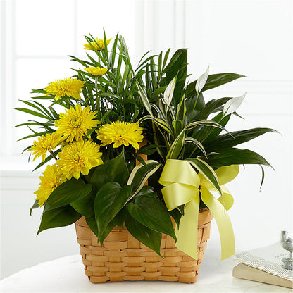Loving Light Dishgarden – YOUNG'S GREENHOUSE & FLOWER SHOP, Fort Wayne IN