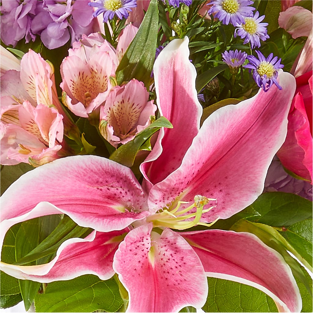Written in the Stars Bouquet – YOUNG'S GREENHOUSE & FLOWER SHOP, Fort Wayne IN