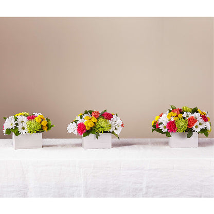 Sorbet Bouquet – YOUNG'S GREENHOUSE & FLOWER SHOP, Fort Wayne IN