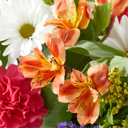 Oopsie Daisy Box Bouquet – YOUNG'S GREENHOUSE & FLOWER SHOP, Fort Wayne IN