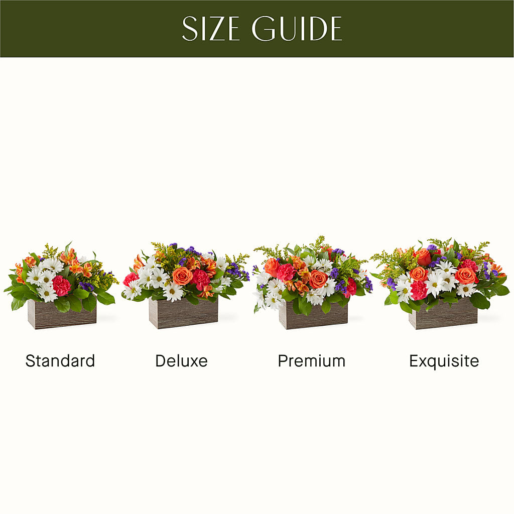 Oopsie Daisy Box Bouquet – YOUNG'S GREENHOUSE & FLOWER SHOP, Fort Wayne IN