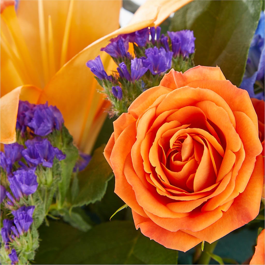 Radiant Citrus Box Bouquet – YOUNG'S GREENHOUSE & FLOWER SHOP, Fort Wayne IN
