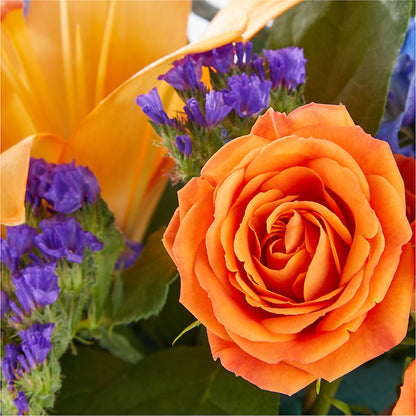 Radiant Citrus Box Bouquet – YOUNG'S GREENHOUSE & FLOWER SHOP, Fort Wayne IN