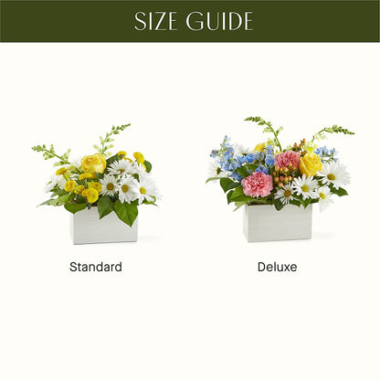 Sun Salutation Box Bouquet – YOUNG'S GREENHOUSE & FLOWER SHOP, Fort Wayne IN