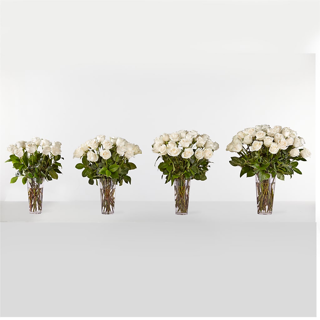 Long Stem White Rose Bouquet – YOUNG'S GREENHOUSE & FLOWER SHOP, Fort Wayne IN