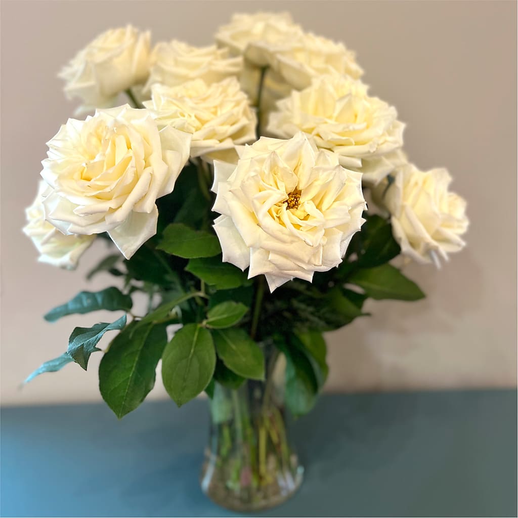 Long Stem Yellow Rose Bouquet – YOUNG'S GREENHOUSE & FLOWER SHOP, Fort Wayne IN