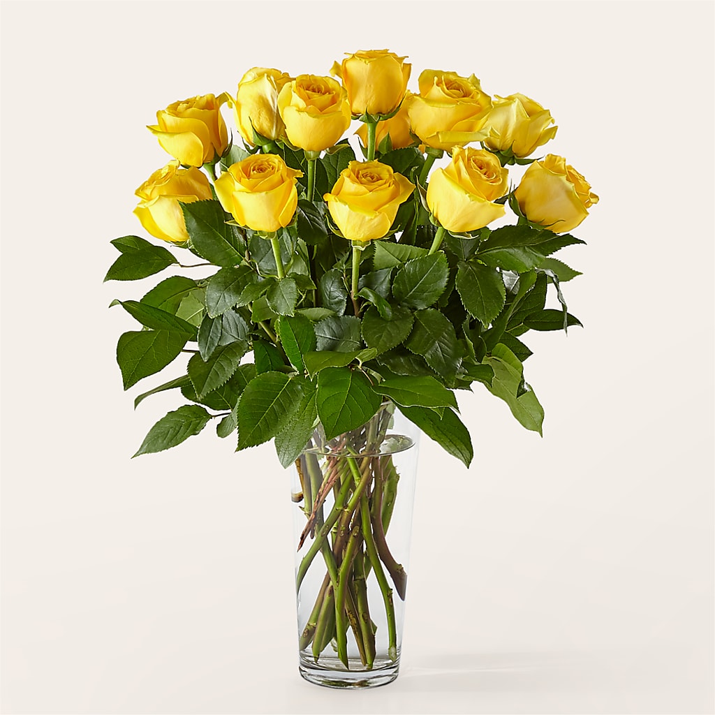 Long Stem Yellow Rose Bouquet – YOUNG'S GREENHOUSE & FLOWER SHOP, Fort Wayne IN