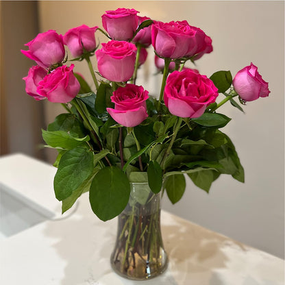 Long Stem Pink Rose Bouquet – YOUNG'S GREENHOUSE & FLOWER SHOP, Fort Wayne IN