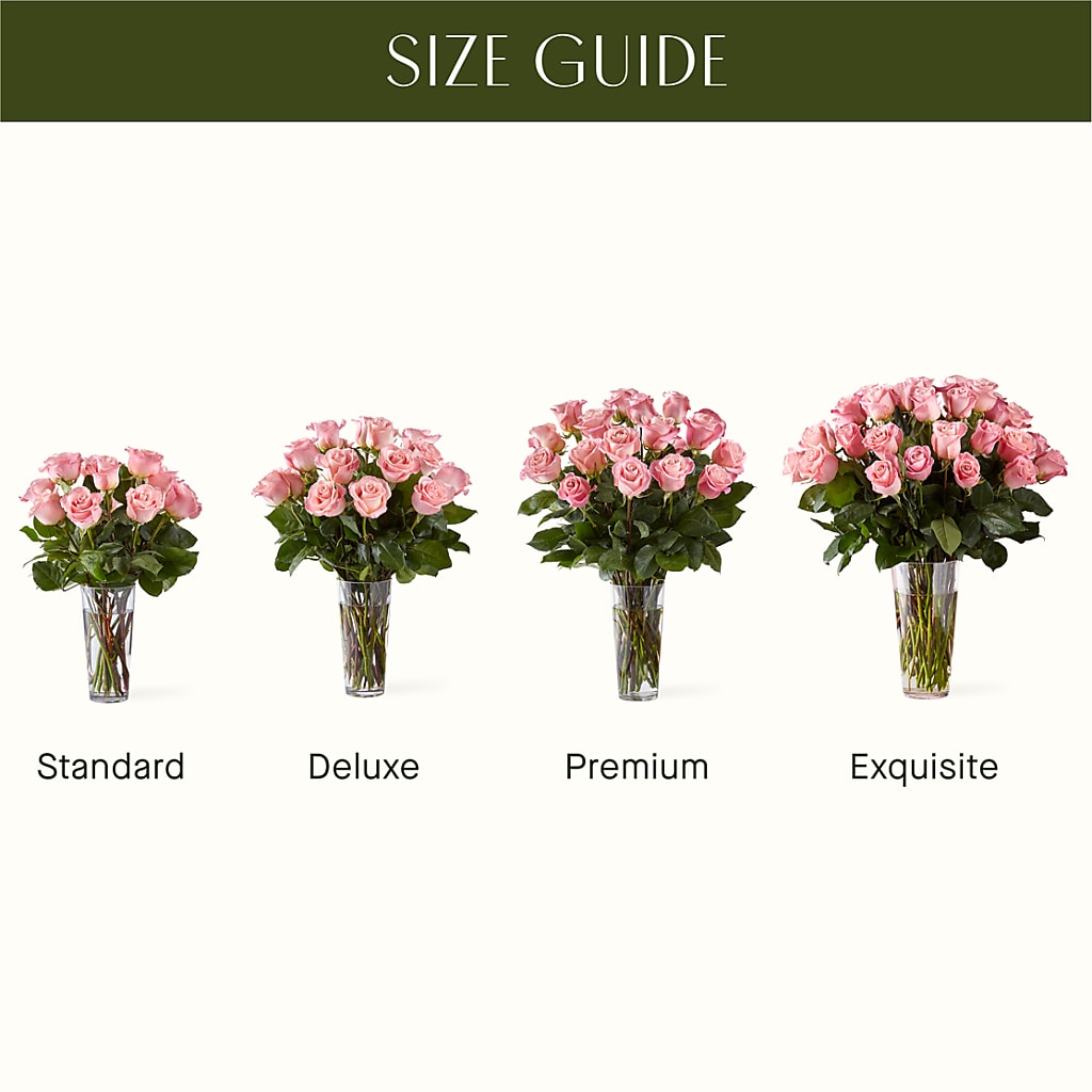 Long Stem Pink Rose Bouquet – YOUNG'S GREENHOUSE & FLOWER SHOP, Fort Wayne IN