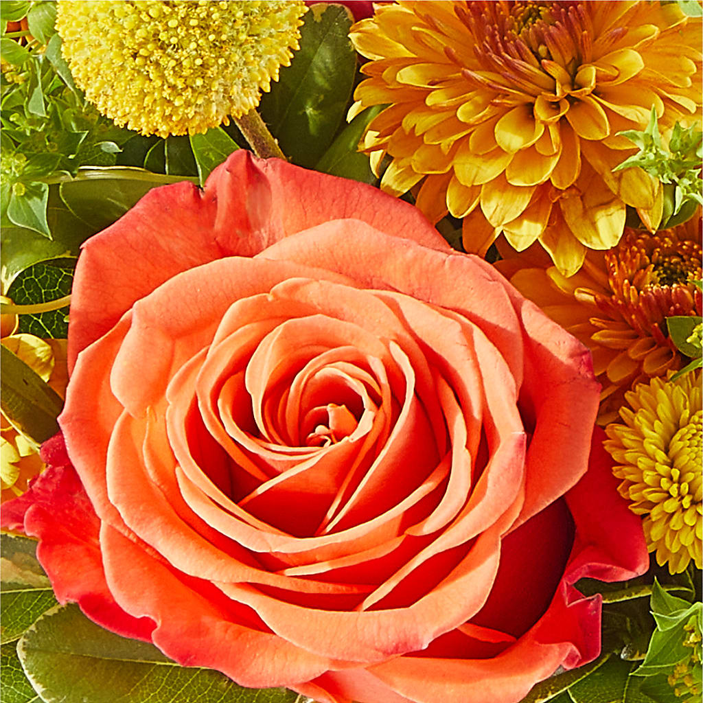 Gourdgeous Pumpkin – YOUNG'S GREENHOUSE & FLOWER SHOP, Fort Wayne IN