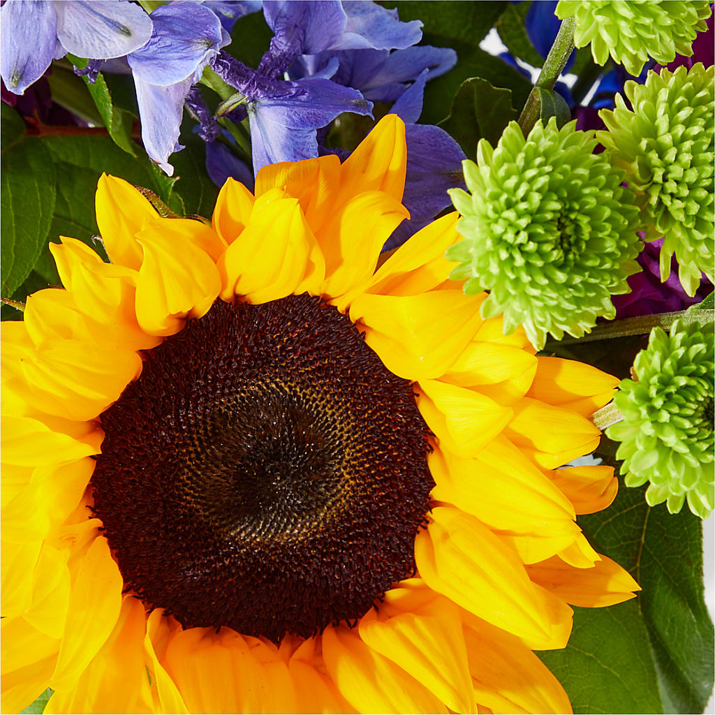 Catching Rays Bouquet – YOUNG'S GREENHOUSE & FLOWER SHOP, Fort Wayne IN