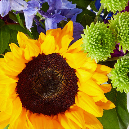 Catching Rays Bouquet – YOUNG'S GREENHOUSE & FLOWER SHOP, Fort Wayne IN