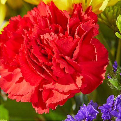Brighter Days Bouquet – YOUNG'S GREENHOUSE & FLOWER SHOP, Fort Wayne IN