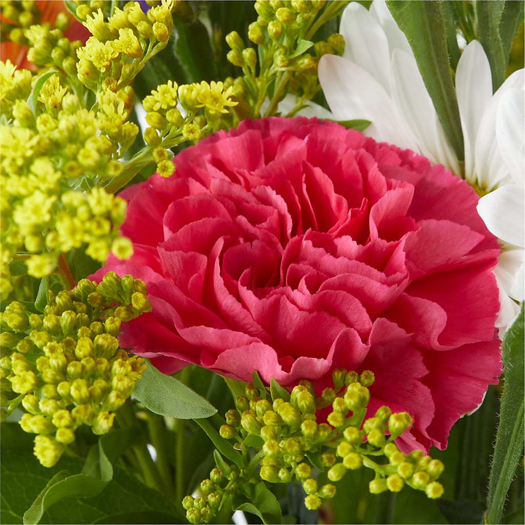 Oopsie Daisy Bouquet – YOUNG'S GREENHOUSE & FLOWER SHOP, Fort Wayne IN
