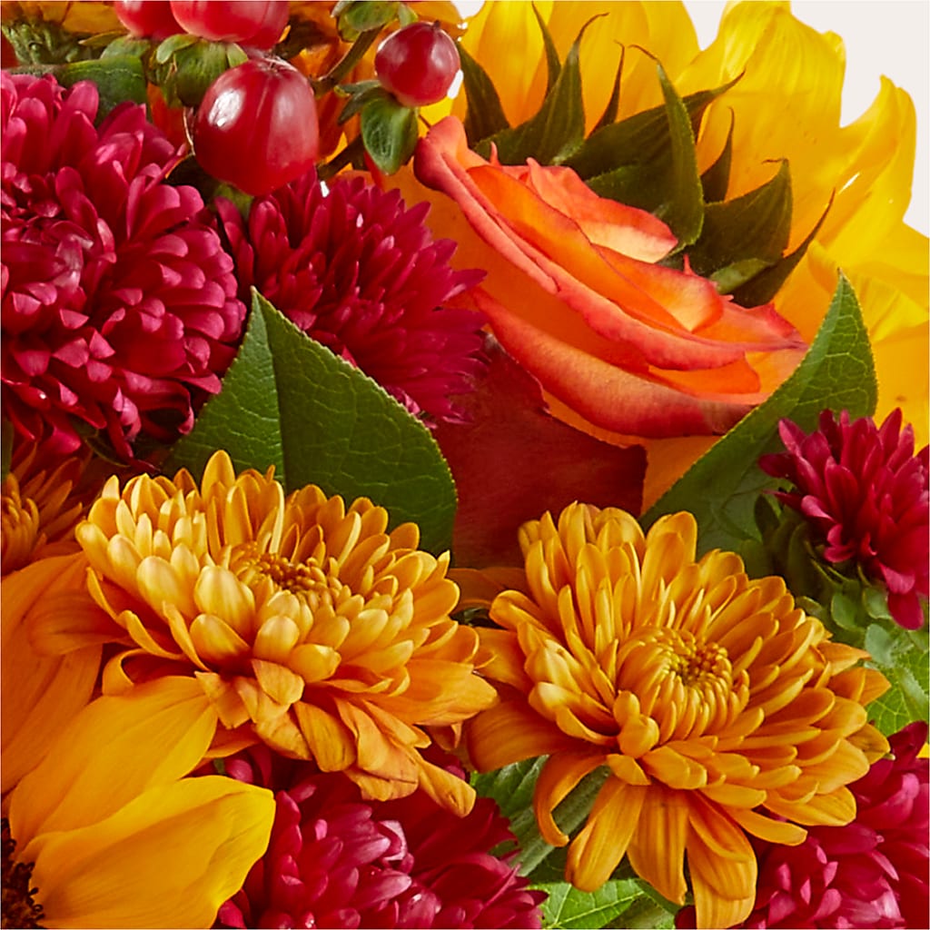 Sweater Season - A Florist Original – YOUNG'S GREENHOUSE & FLOWER SHOP, Fort Wayne IN