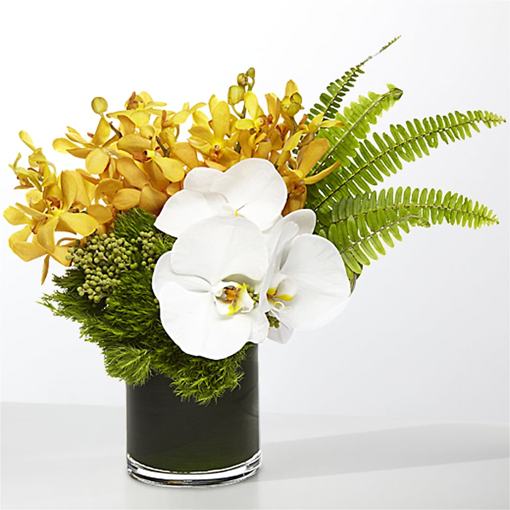 The Tropics – YOUNG'S GREENHOUSE & FLOWER SHOP, Fort Wayne IN