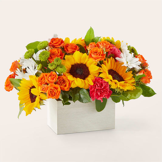 Sun-drenched Blooms Box Bouquet – YOUNG'S GREENHOUSE & FLOWER SHOP, Fort Wayne IN