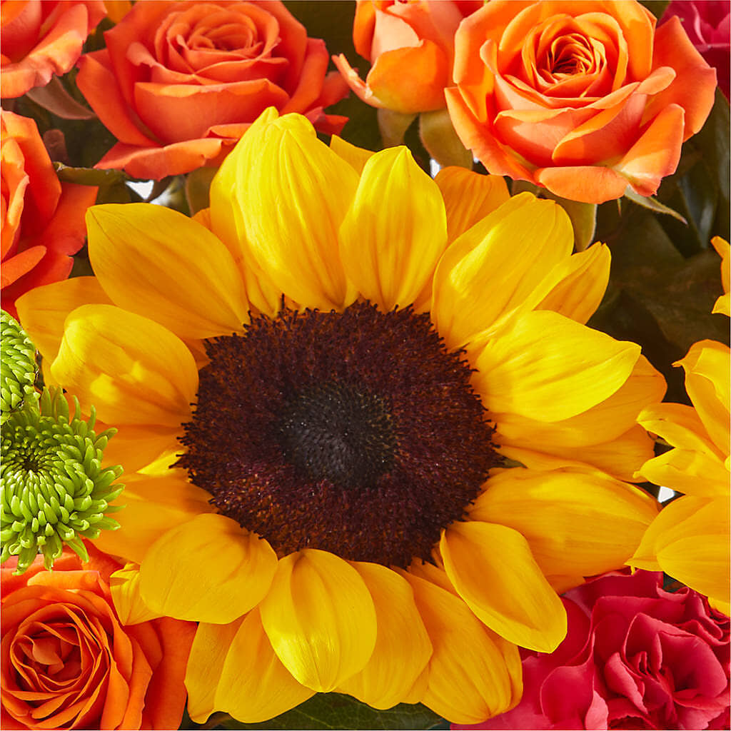 Sun-drenched Blooms Box Bouquet – YOUNG'S GREENHOUSE & FLOWER SHOP, Fort Wayne IN