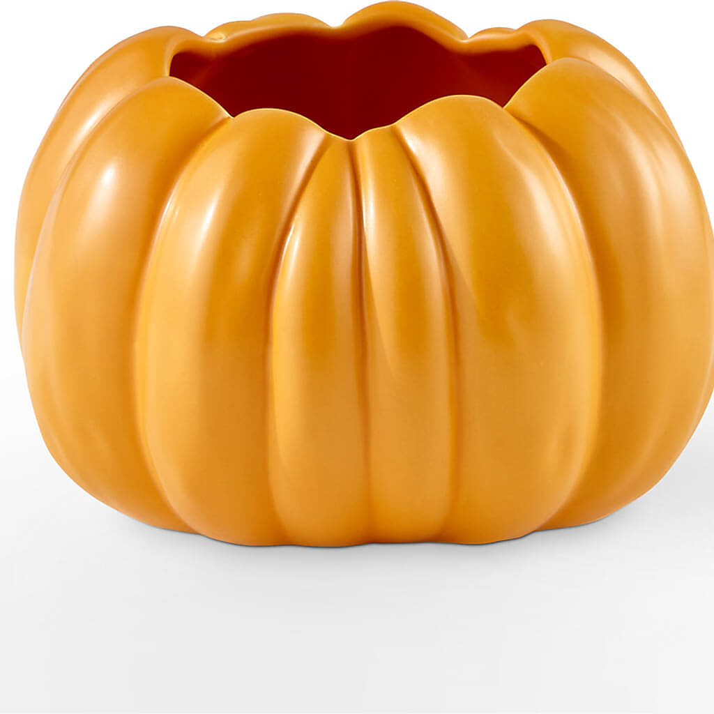 Golden Gourd Pumpkin Bouquet – YOUNG'S GREENHOUSE & FLOWER SHOP, Fort Wayne IN