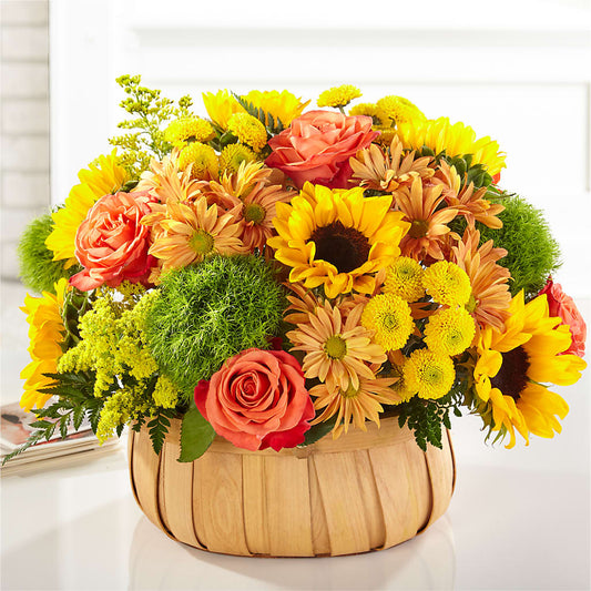 Harvest Sunflower Basket – YOUNG'S GREENHOUSE & FLOWER SHOP, Fort Wayne IN