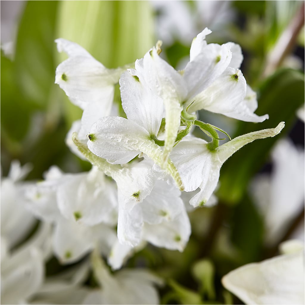 Classic Ivory – A Florist Original – YOUNG'S GREENHOUSE & FLOWER SHOP, Fort Wayne IN