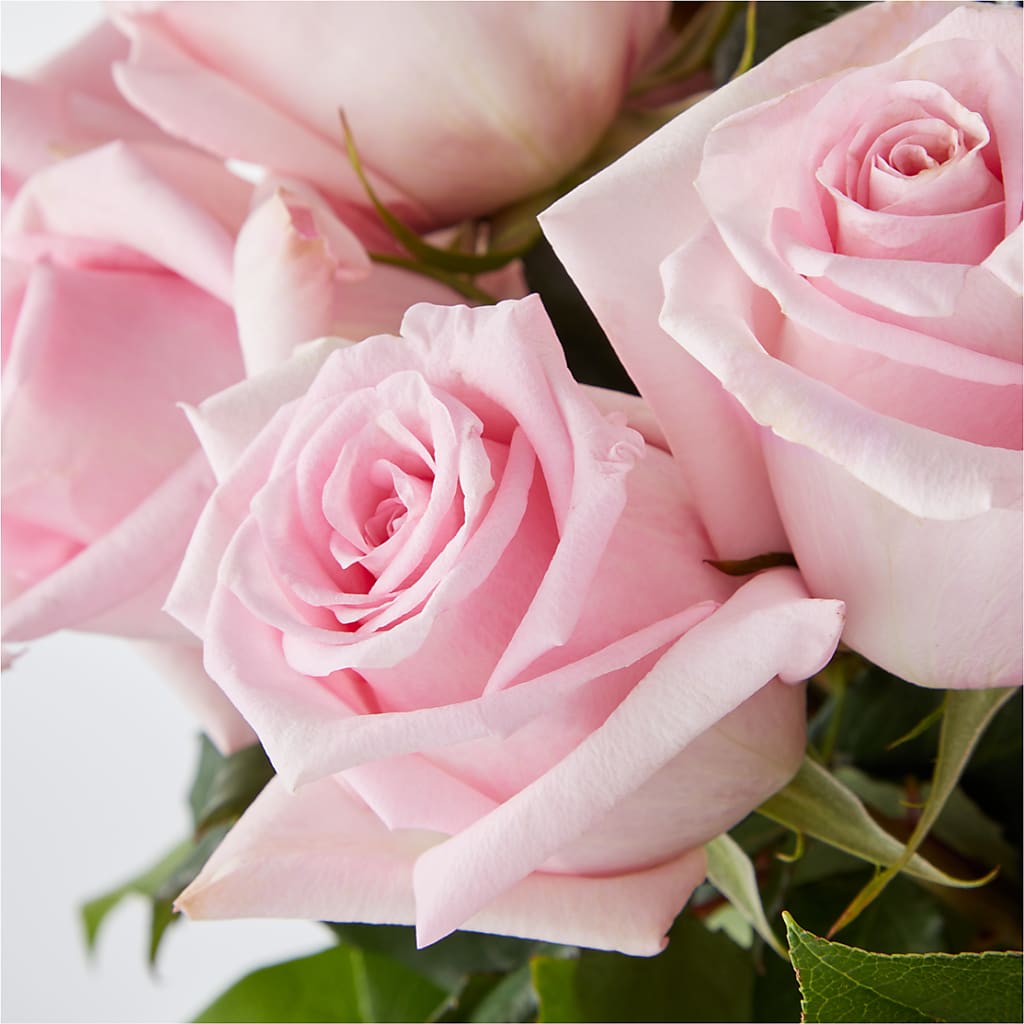 Picture Perfect Pink Rose Bouquet – YOUNG'S GREENHOUSE & FLOWER SHOP, Fort Wayne IN