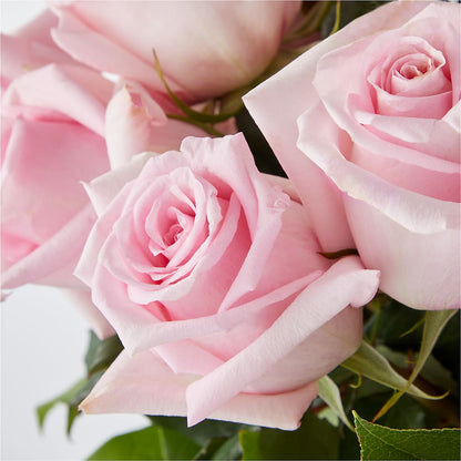 Picture Perfect Pink Rose Bouquet – YOUNG'S GREENHOUSE & FLOWER SHOP, Fort Wayne IN