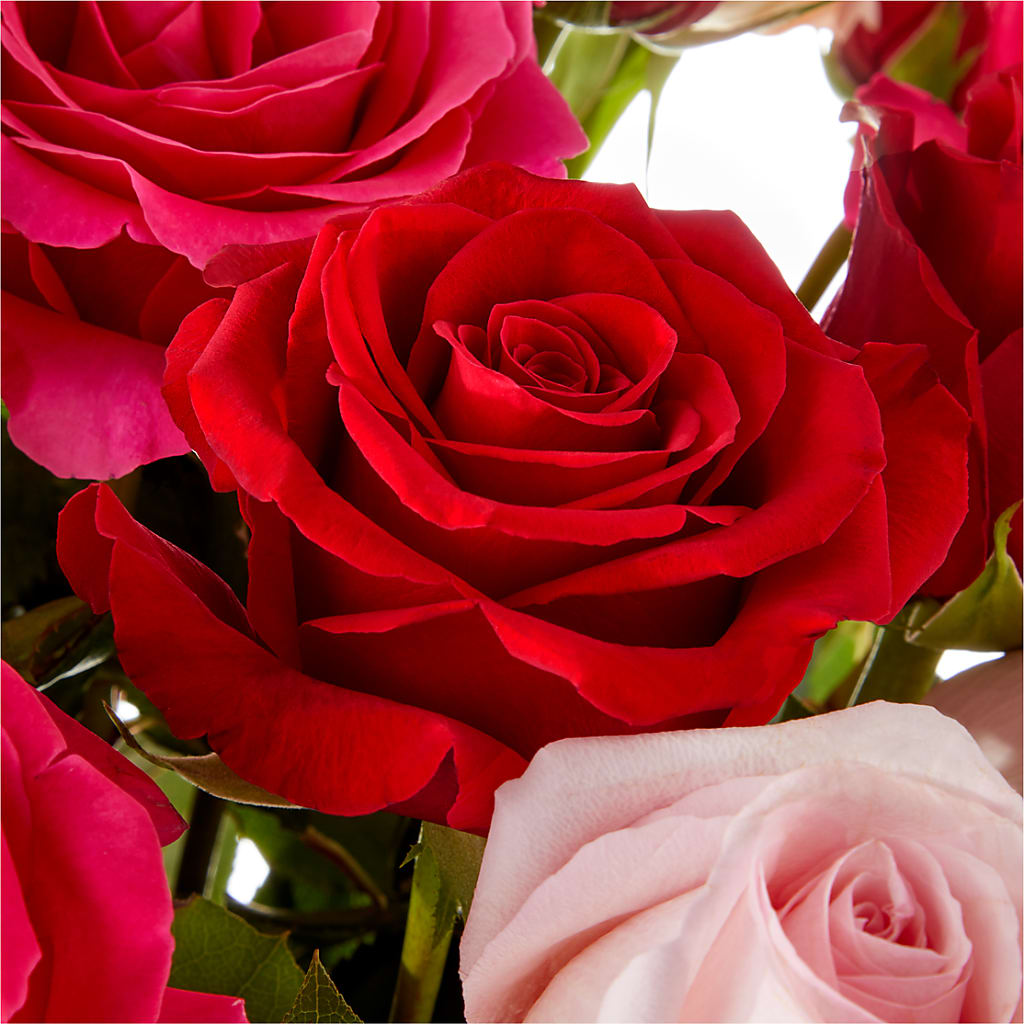 Love Notes Rose Bouquet – YOUNG'S GREENHOUSE & FLOWER SHOP, Fort Wayne IN