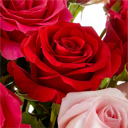 Love Notes Rose Bouquet – YOUNG'S GREENHOUSE & FLOWER SHOP, Fort Wayne IN