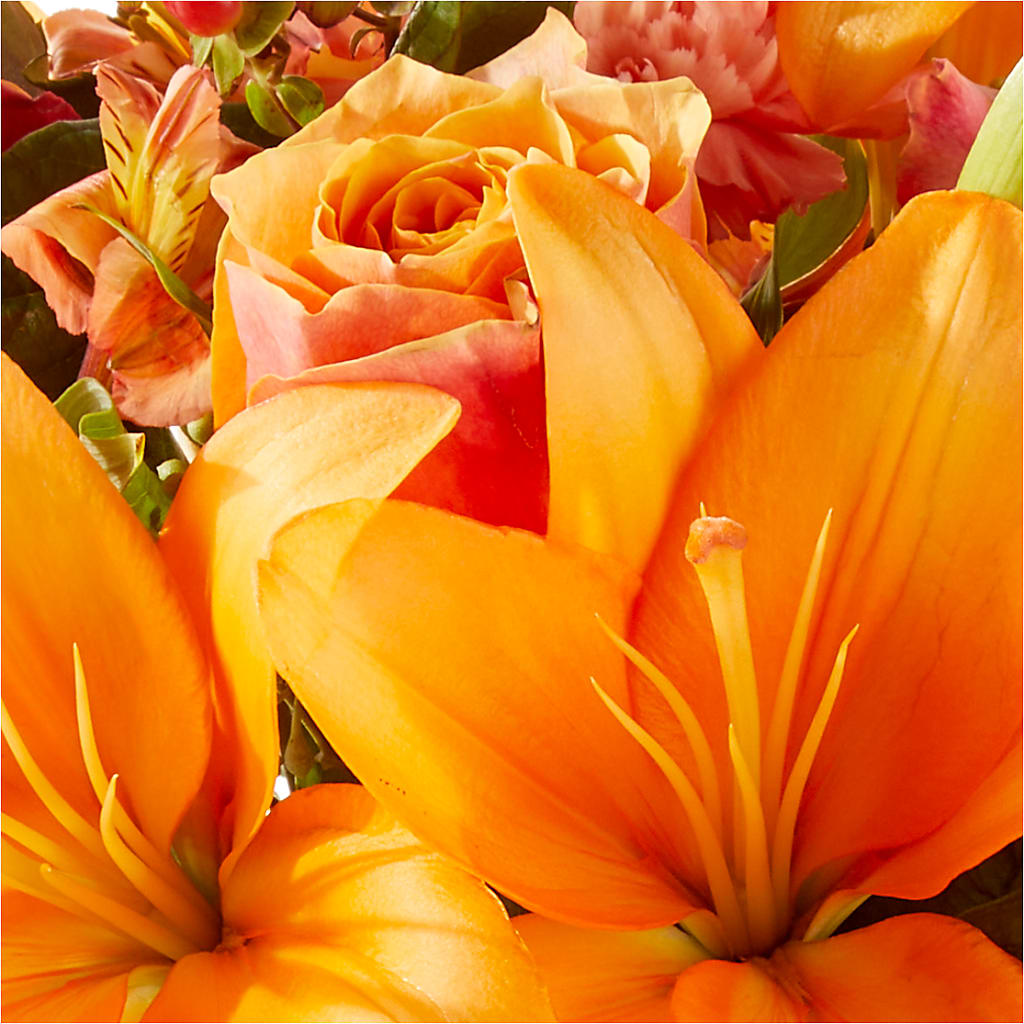 Afternoon Light Bouquet – YOUNG'S GREENHOUSE & FLOWER SHOP, Fort Wayne IN